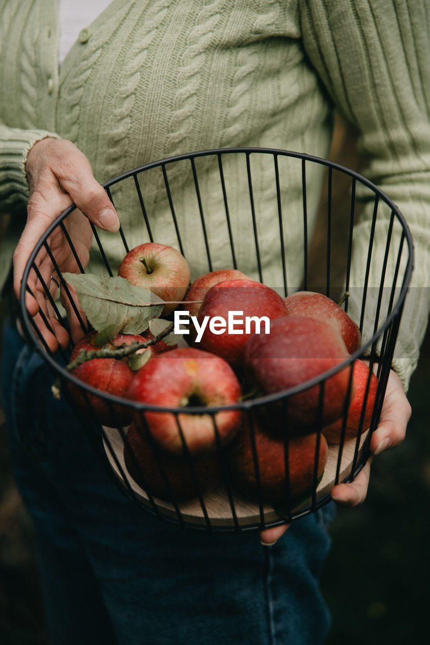 food, food and drink, healthy eating, one person, holding, basket, wellbeing, fruit, freshness, midsection, red, adult, hand, container, produce, organic, casual clothing, men, day, harvesting, agriculture, close-up, plant, standing, focus on foreground, lifestyles, apple, front view, outdoors