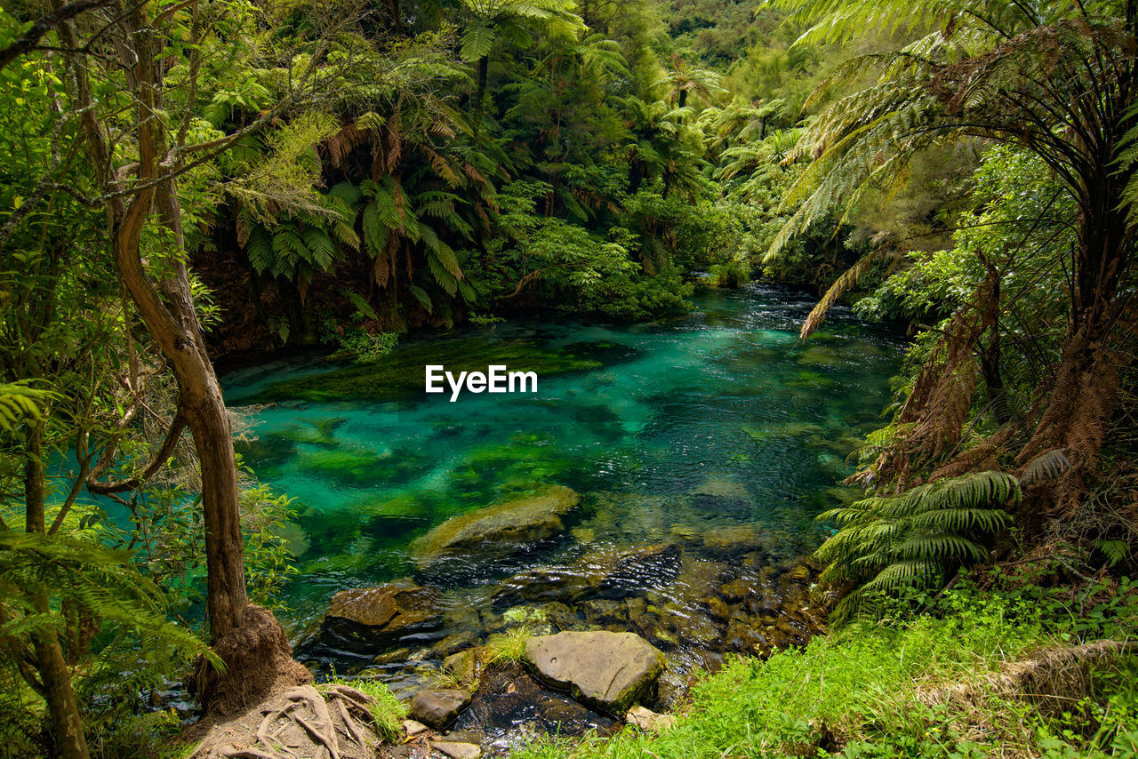 SCENIC VIEW OF WATERFALL