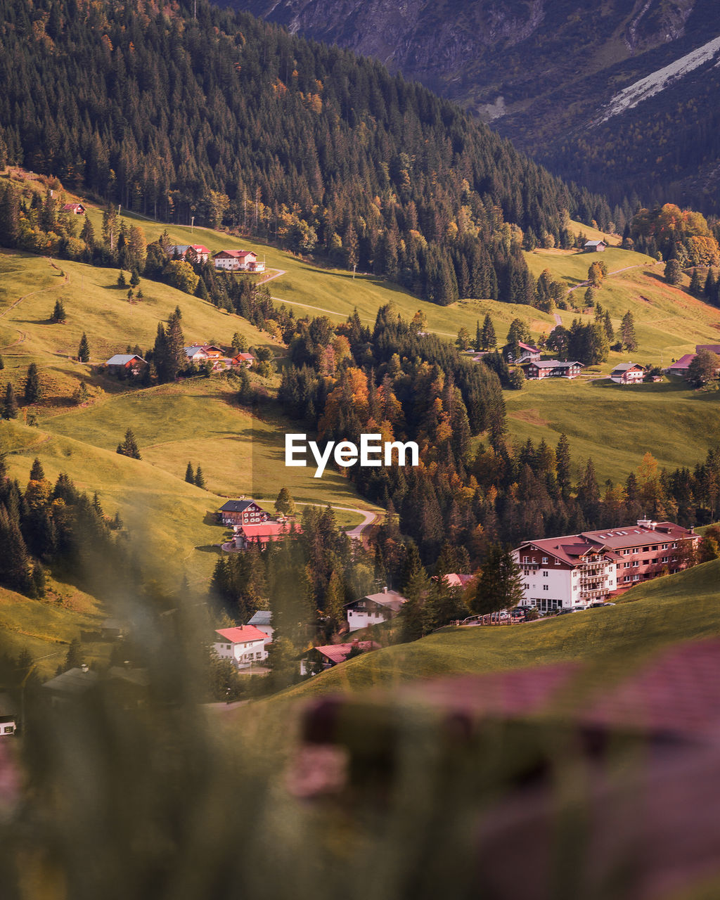 SCENIC VIEW OF FIELD BY TREES AND HOUSES AGAINST MOUNTAIN