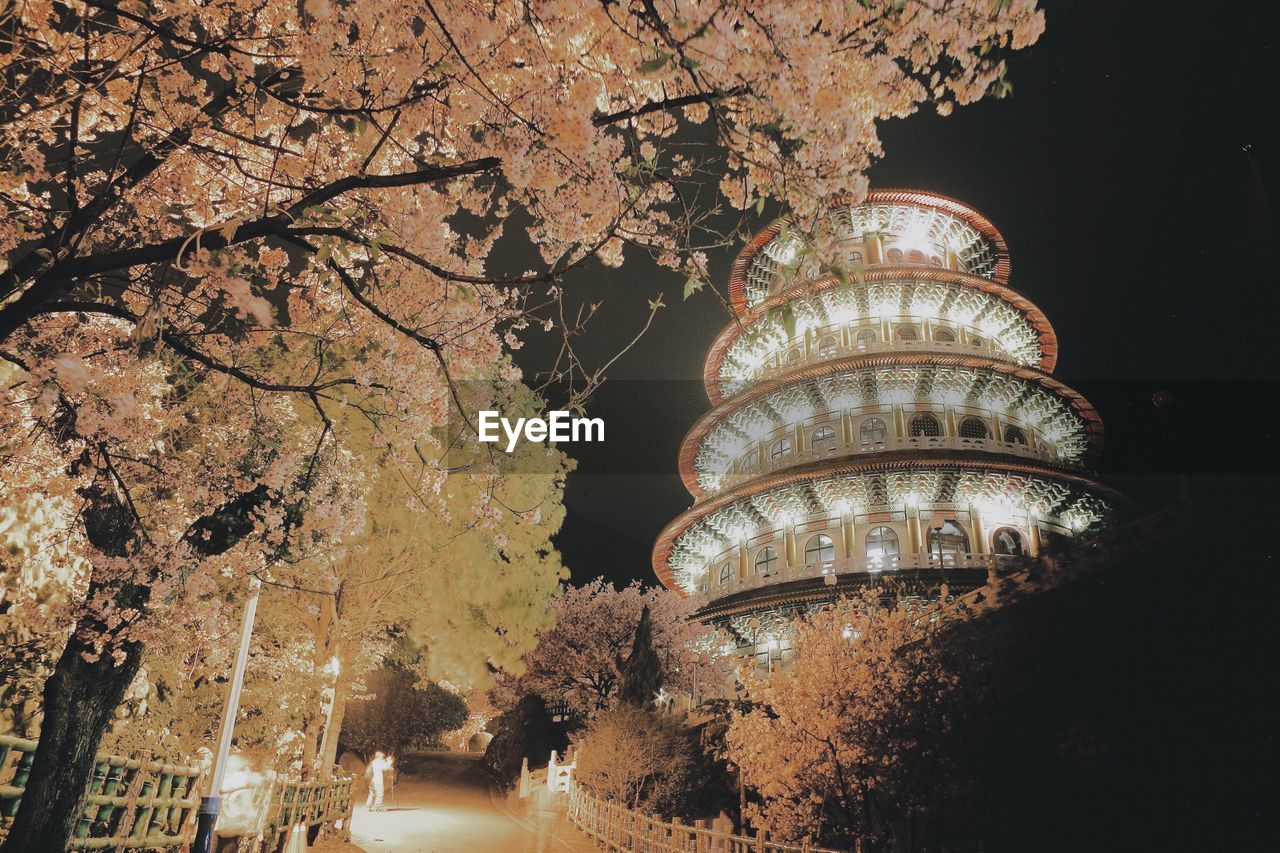 Circle building in park at night