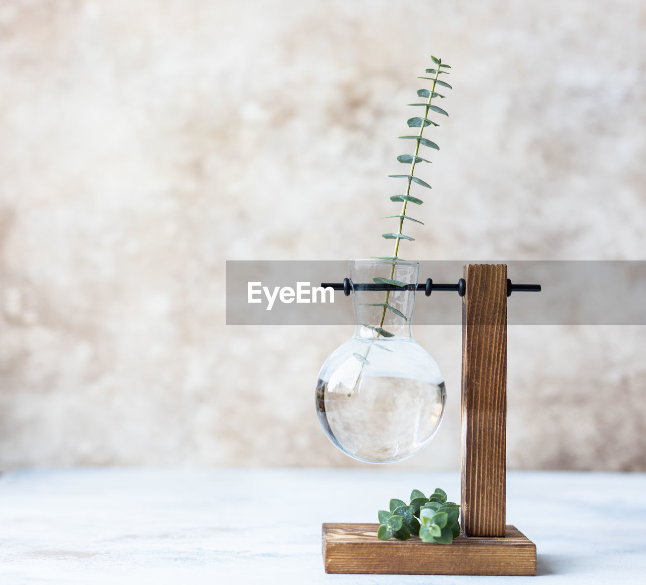 wood, lighting, no people, nature, plant, green, indoors, focus on foreground, studio shot, copy space, table, still life, day