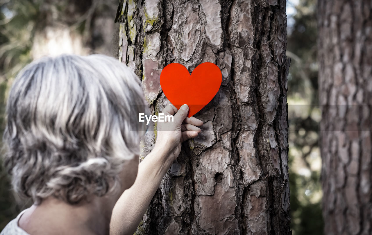 Close-up of senior woman holding heart shape on tree trunk