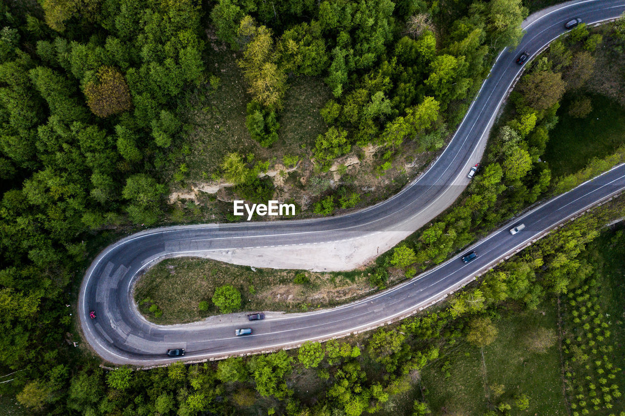 Aerial view of road amidst trees in forest