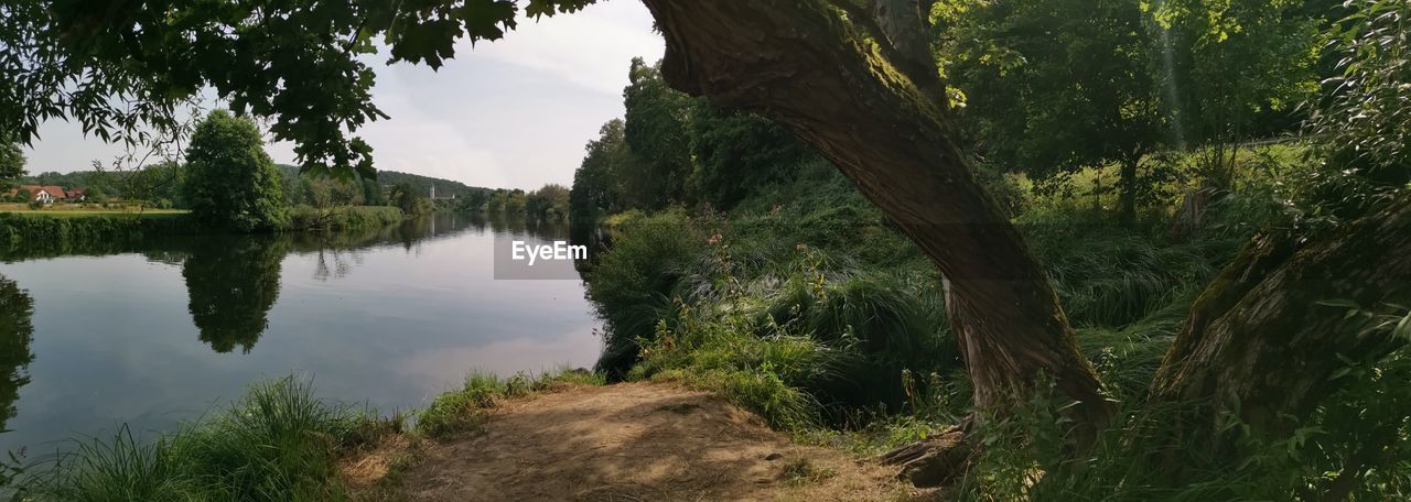 SCENIC VIEW OF LAKE AMIDST TREES IN FOREST