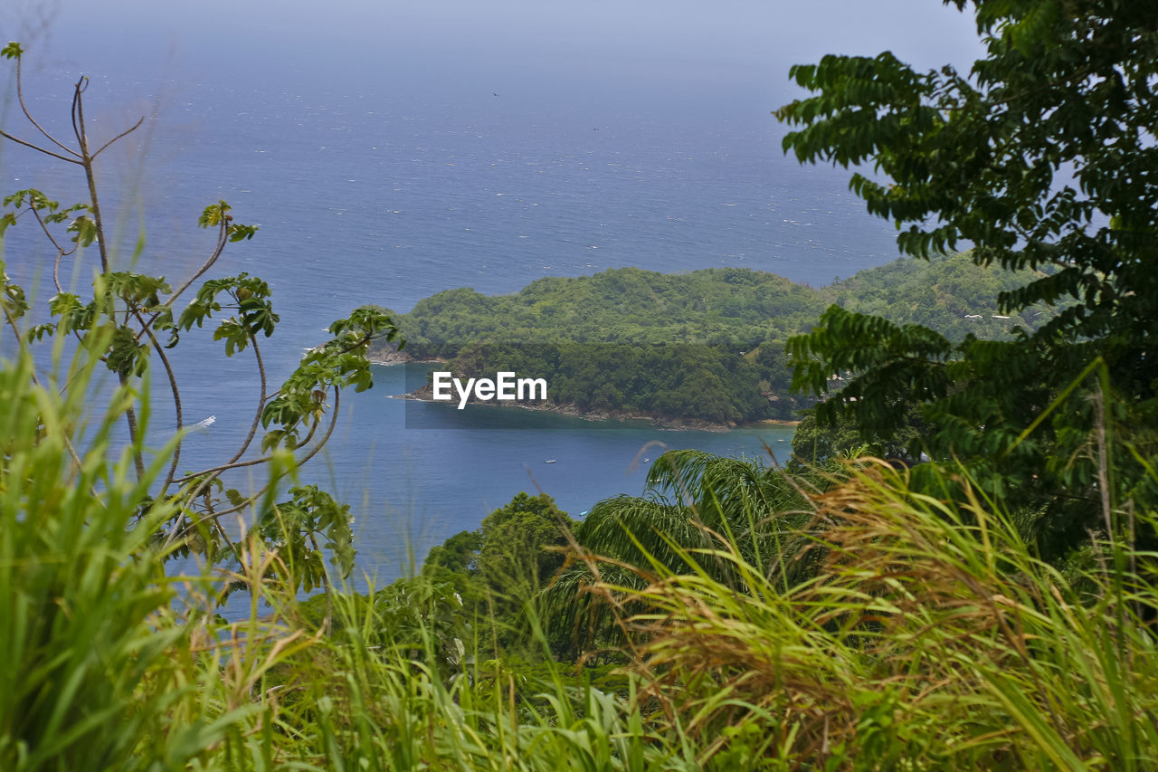 Scenic view of lake and trees against sky