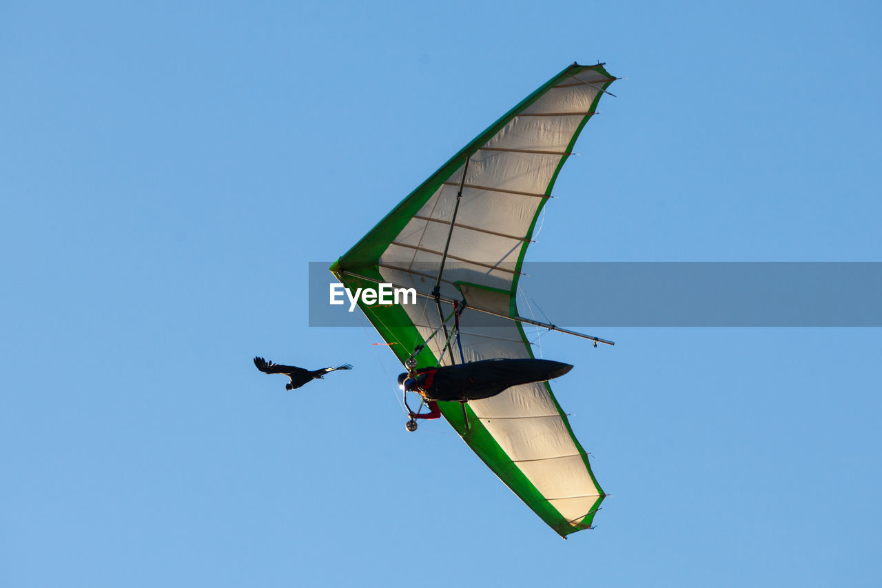 LOW ANGLE VIEW OF KITE FLYING IN SKY