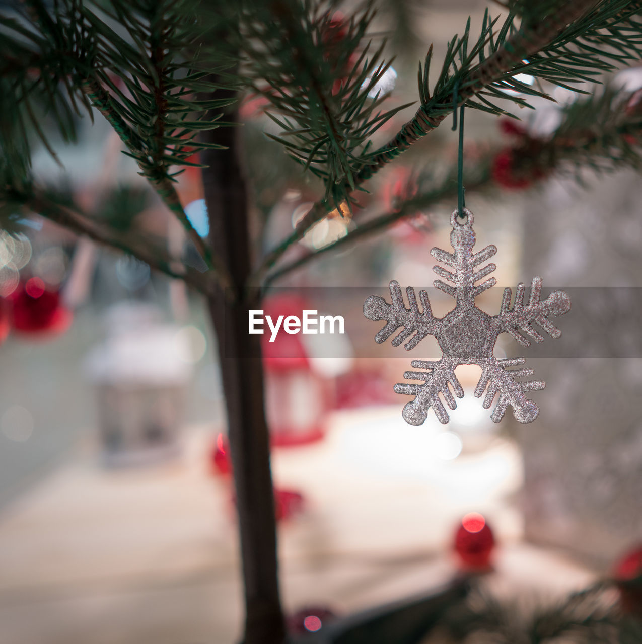 CLOSE-UP OF CHRISTMAS TREE AGAINST WALL