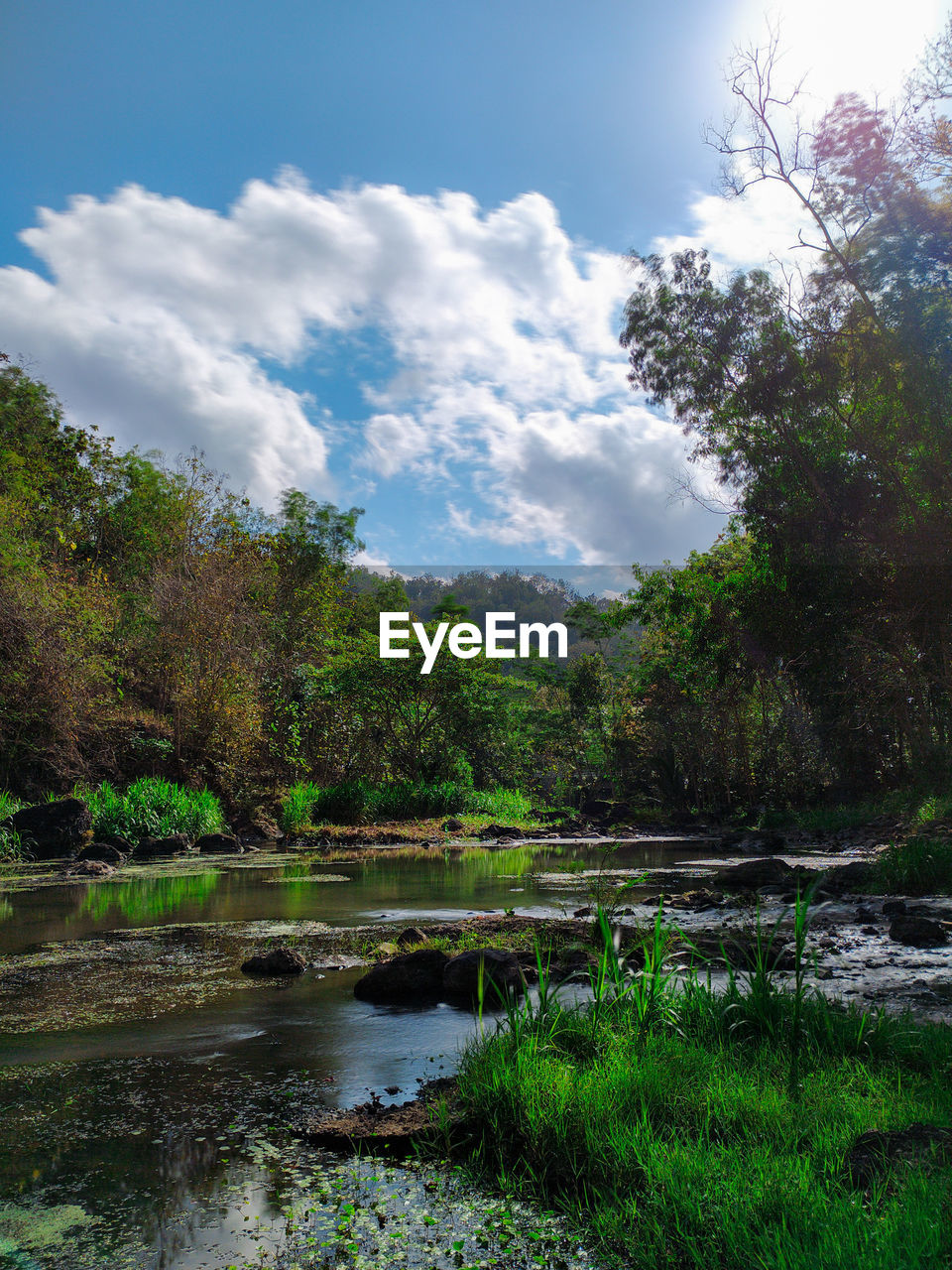 SCENIC VIEW OF LAKE AMIDST TREES AGAINST SKY