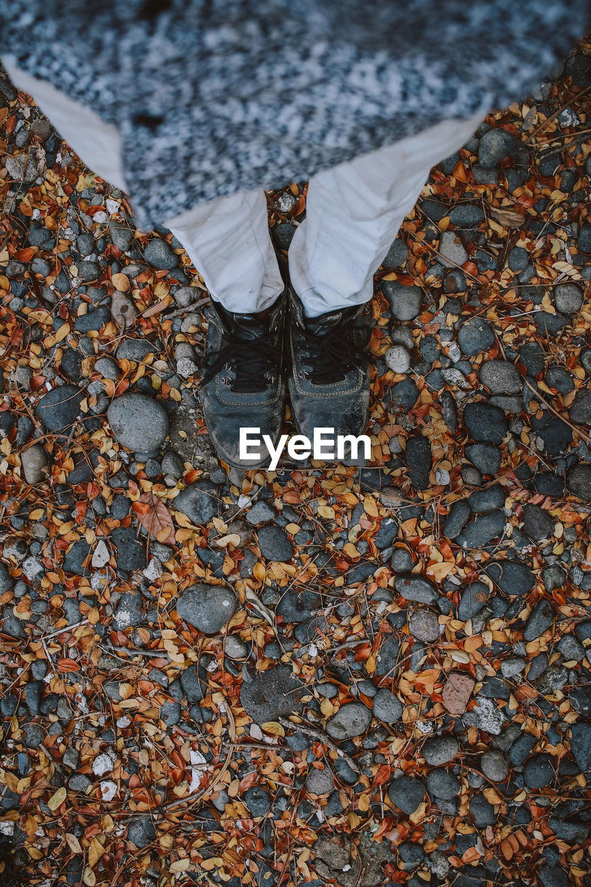 Low section of man standing by autumn leaves