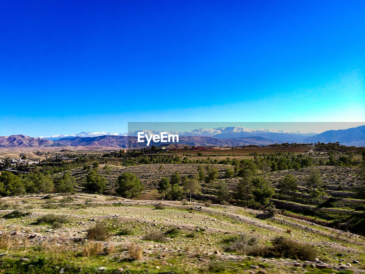 Scenic view of landscape against clear blue sky