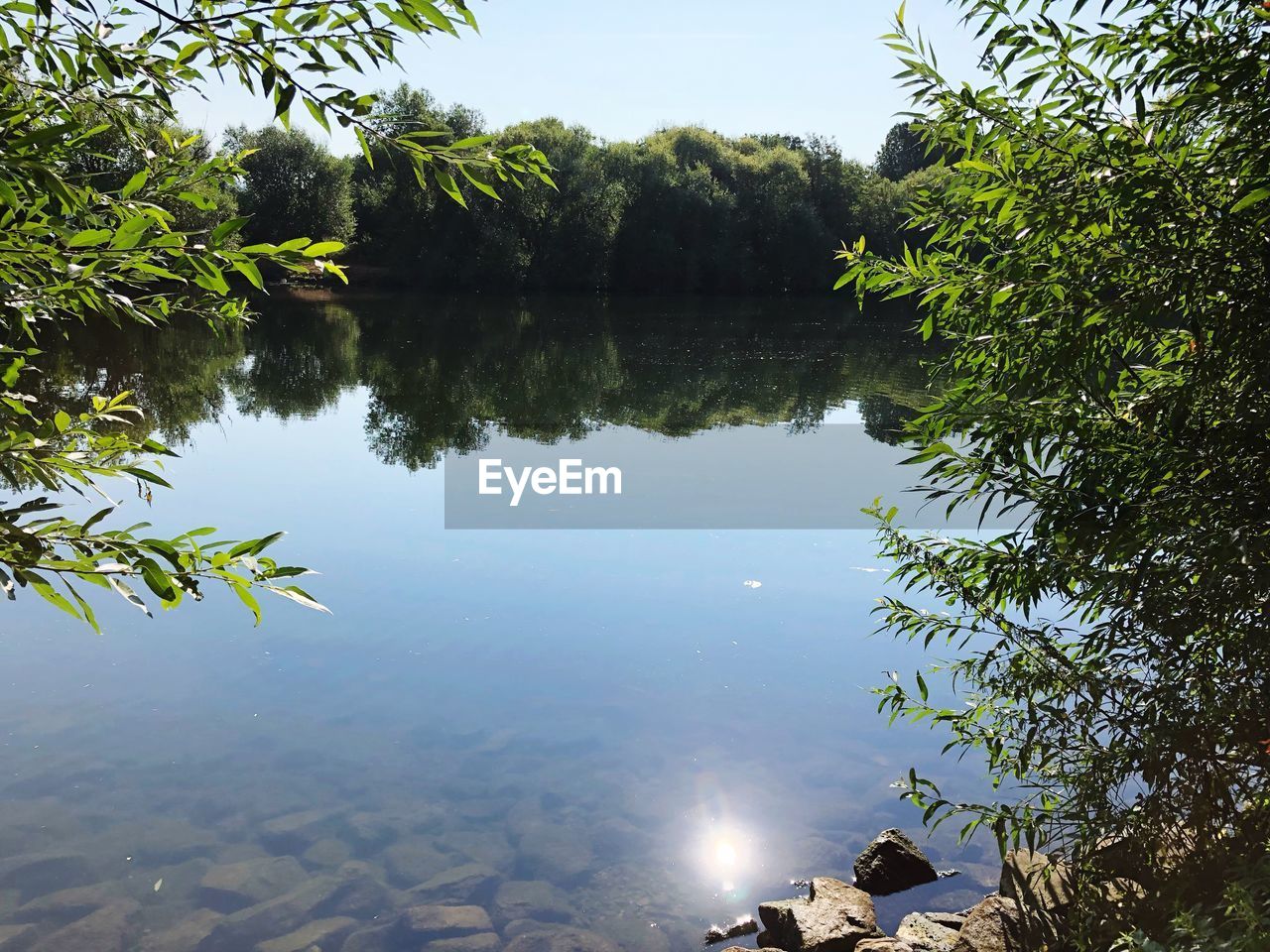 SCENIC VIEW OF LAKE AND TREES AGAINST SKY