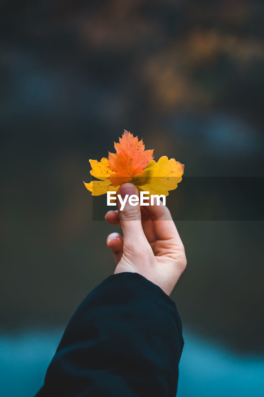 Person holding leaves against blurred background in autumn 