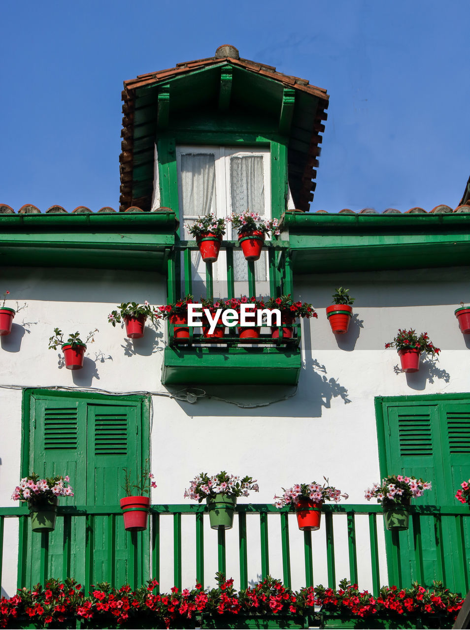 LOW ANGLE VIEW OF POTTED PLANTS ON BUILDING