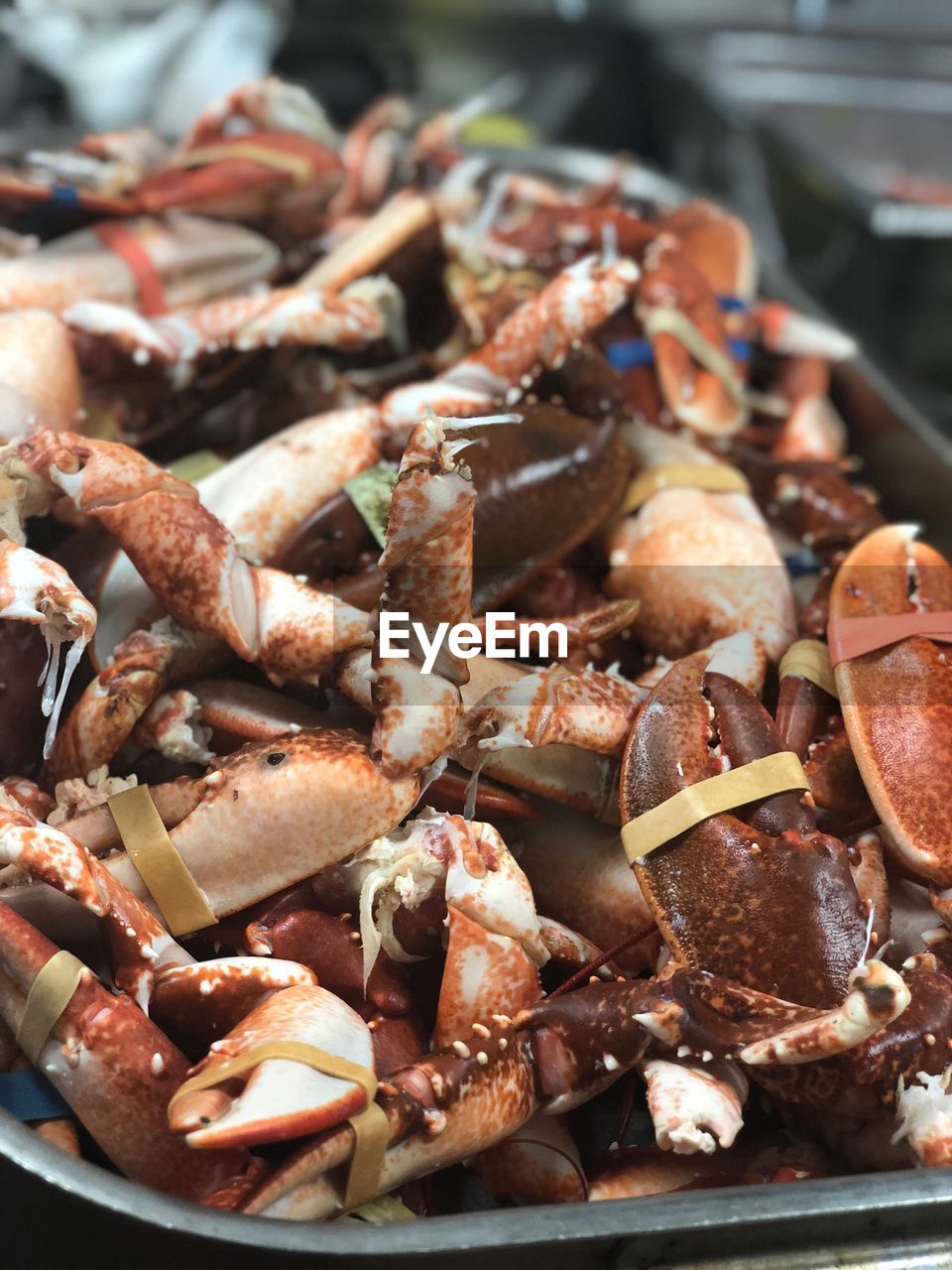 HIGH ANGLE VIEW OF FOOD IN CONTAINER