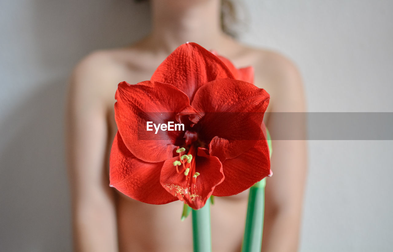 Close-up of flower against naked woman