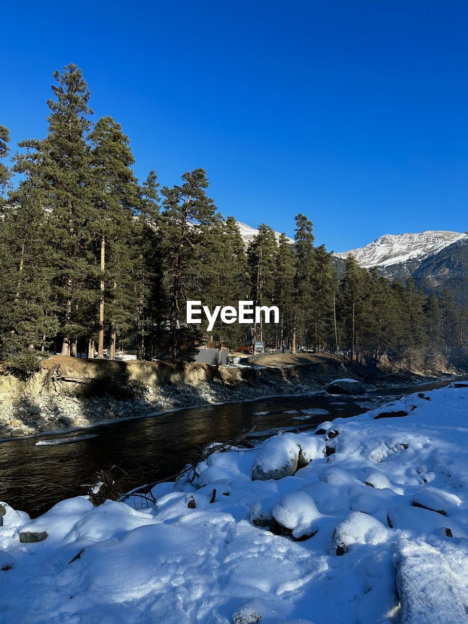 winter, snow, tree, wilderness, cold temperature, plant, nature, scenics - nature, sky, mountain, beauty in nature, environment, landscape, coniferous tree, pine tree, reflection, blue, pinaceae, mountain range, land, water, tranquility, no people, tranquil scene, pine woodland, forest, clear sky, non-urban scene, frozen, day, travel destinations, lake, outdoors, travel, sunlight, ice, sunny, woodland, snowcapped mountain, idyllic