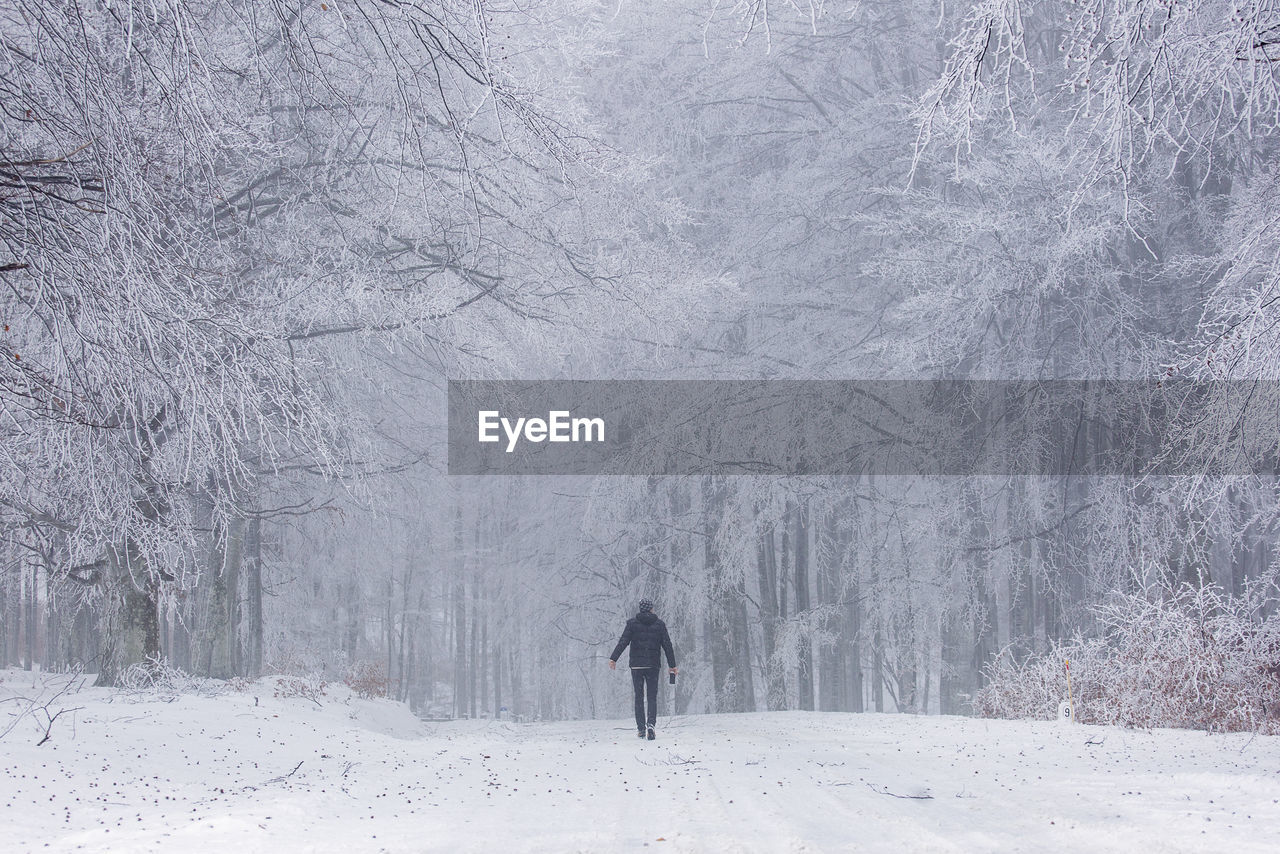 Rear view of man walking on snow covered land