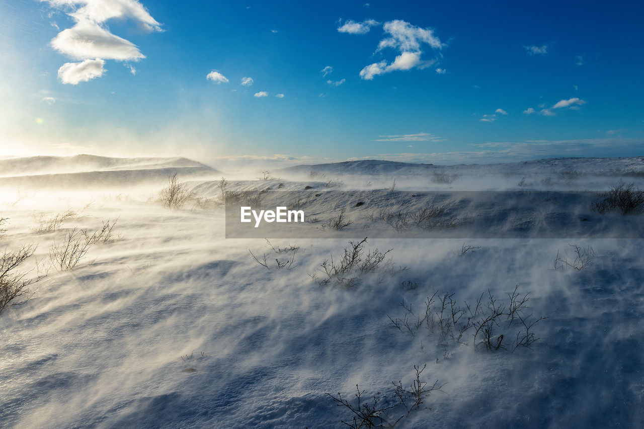 Scenic view of landscape against blue sky