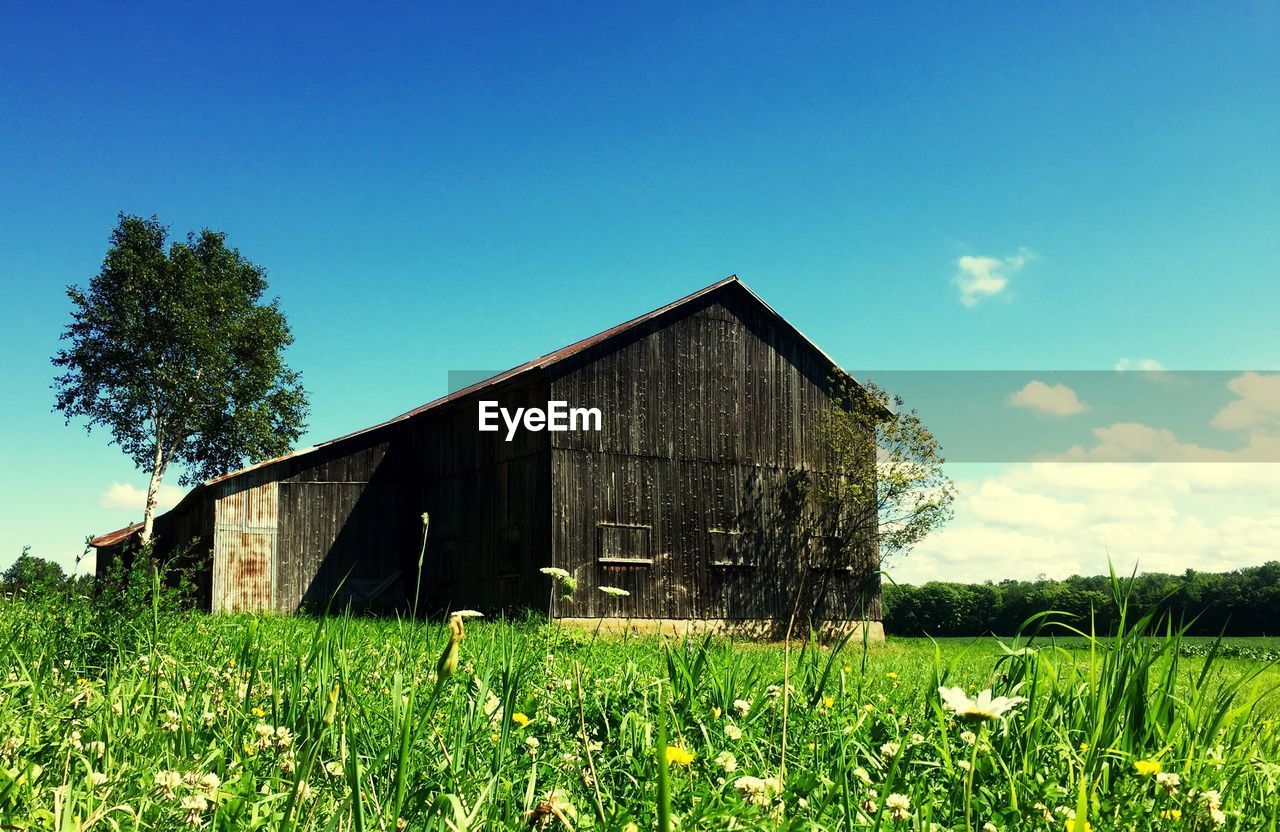 Wooden barn on grassy field against blue sky
