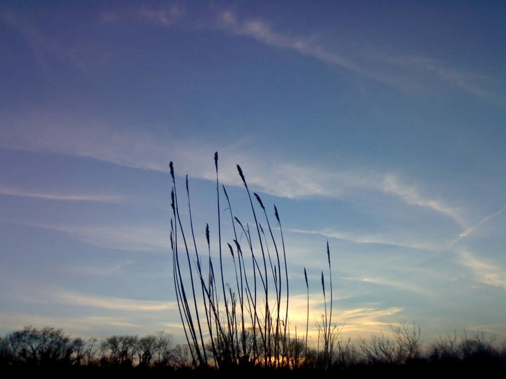 LOW ANGLE VIEW OF SKY AT SUNSET