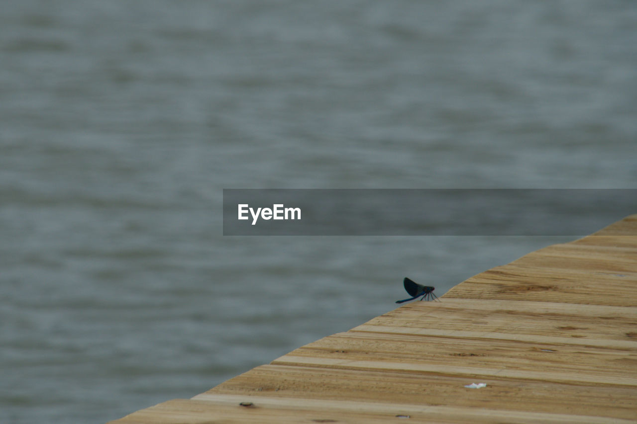 CLOSE-UP OF PIER ON LAKE