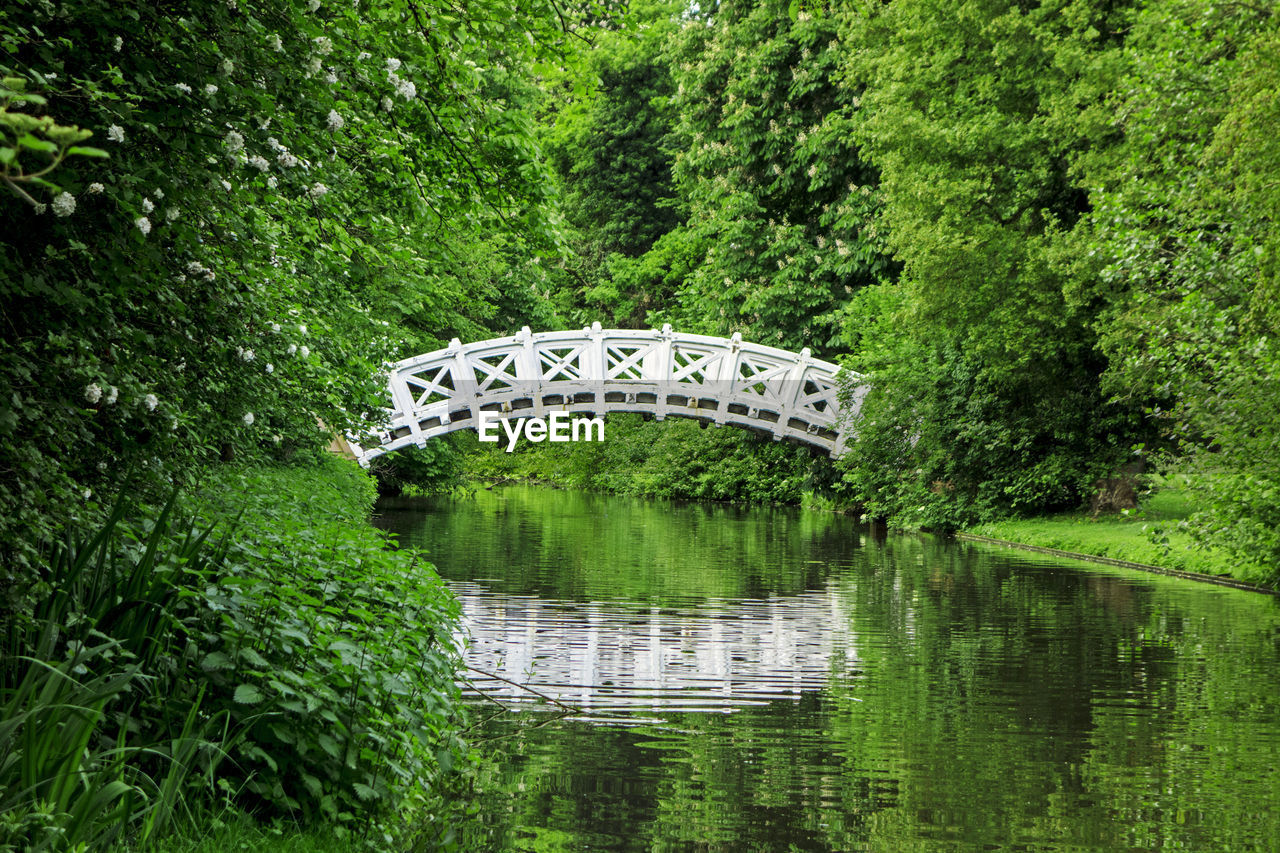 Footbridge over lake amidst trees