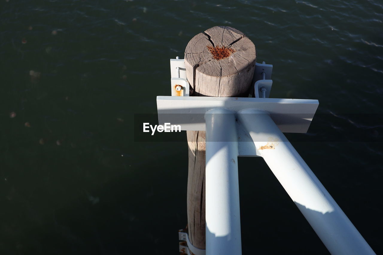 High angle view of columba on wooden post in a dock