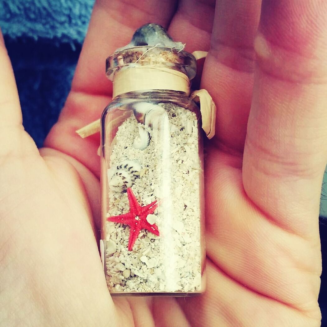 Close-up of a hand holding sand starfish and shells in bottle