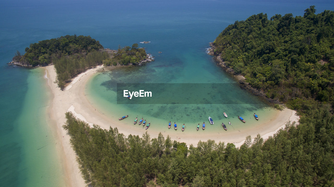 High angle view of trees on beach