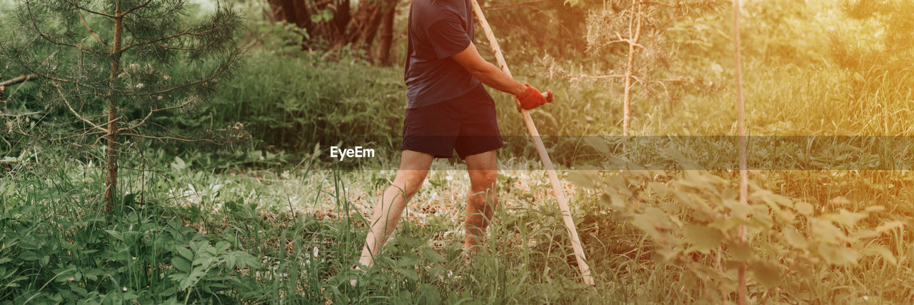 Mowing grass with hand scythe on household farm. farmer man mowing weed of farmland with scythe.