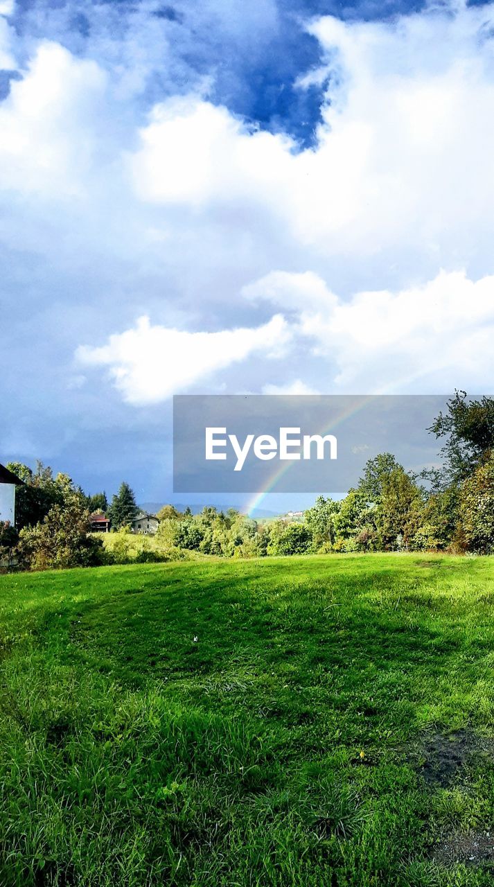 SCENIC VIEW OF FIELD AGAINST CLOUDY SKY