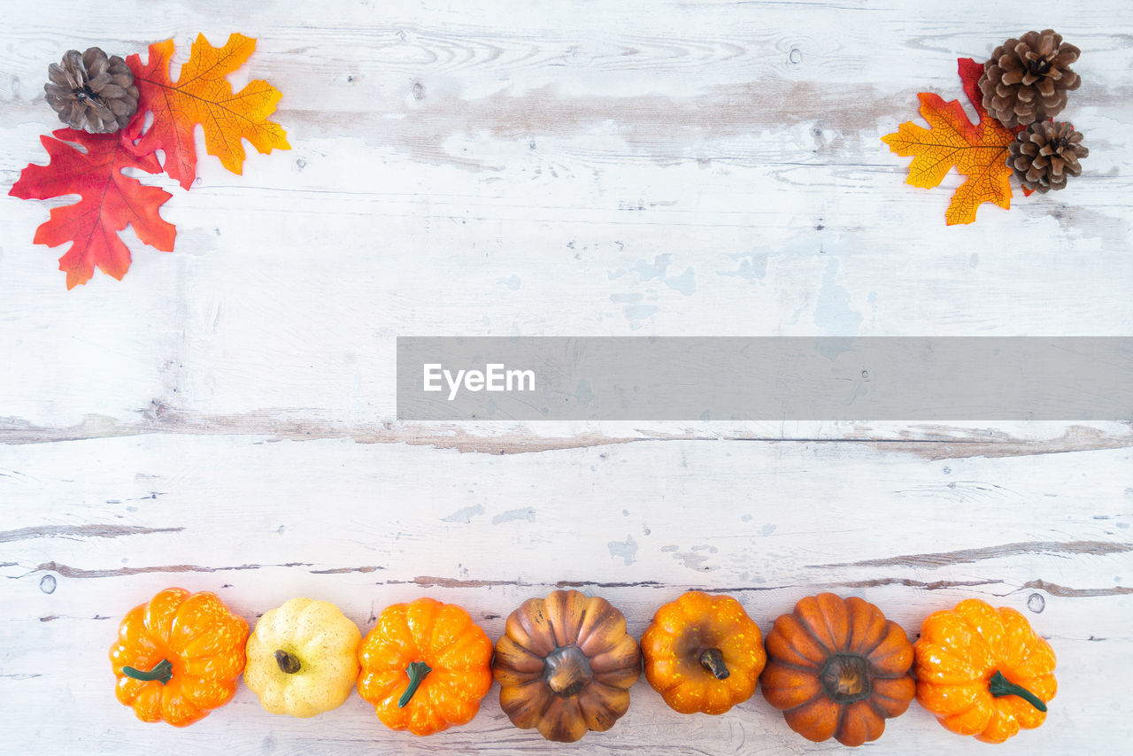 Directly above shot of pumpkins with leaves and pine cones on table