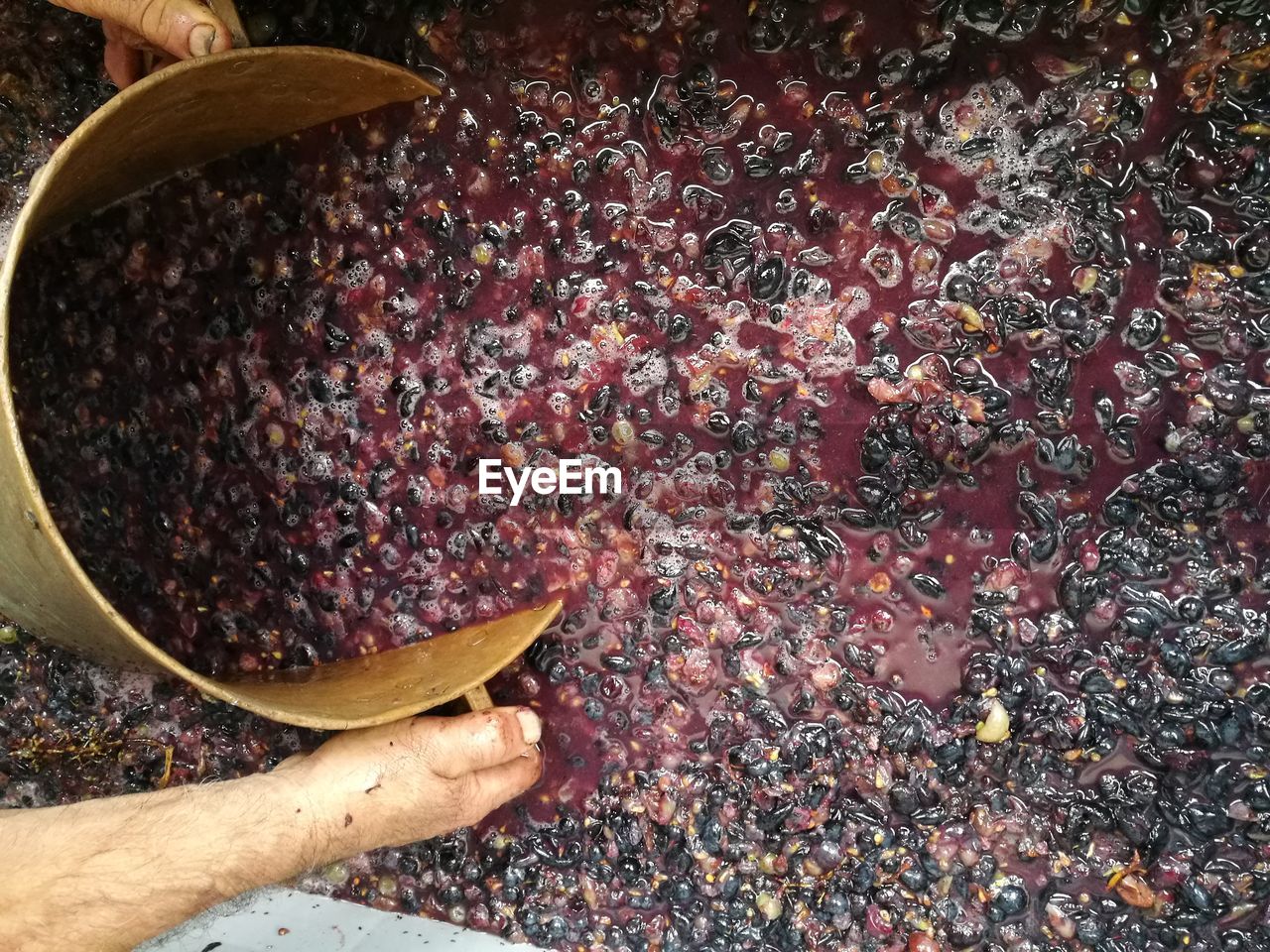 Cropped image of man with crushed grapes during winemaking