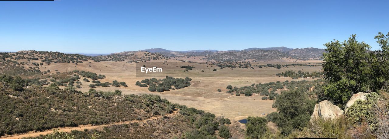 Scenic view of field against clear blue sky