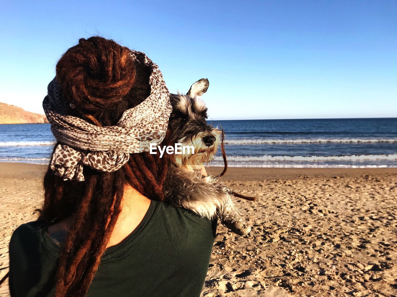 VIEW OF ANIMAL ON BEACH