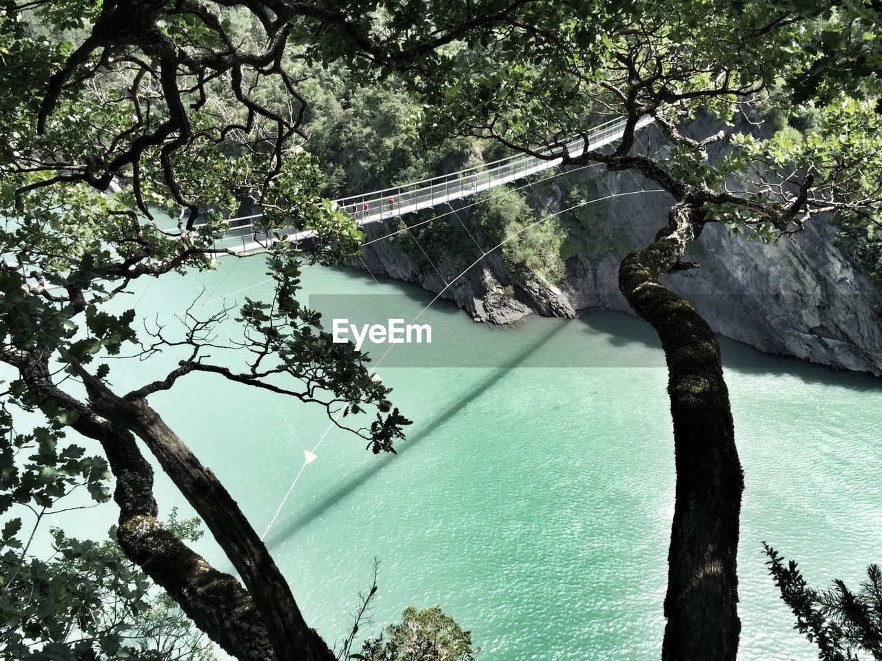 SCENIC VIEW OF TREE BY WATER AGAINST SKY