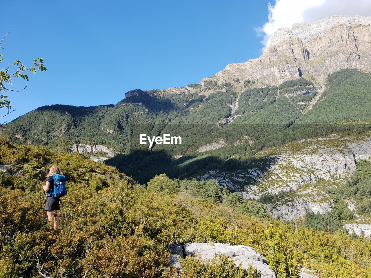 REAR VIEW OF MAN CLIMBING ON MOUNTAIN AGAINST SKY