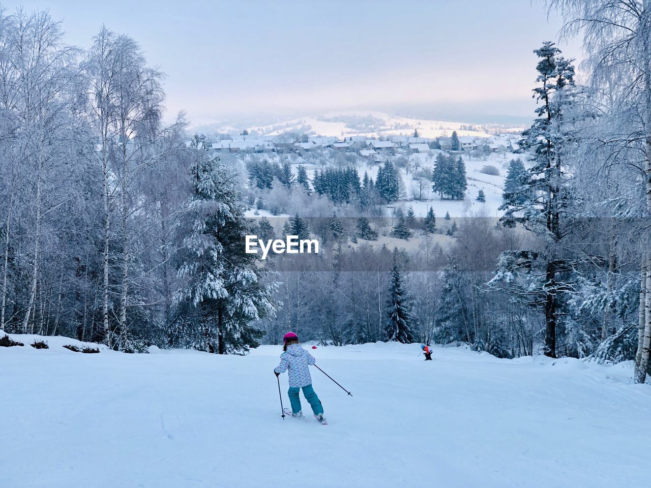Skier going down the slope surrounded by coniferous forest and mountains covered in snow