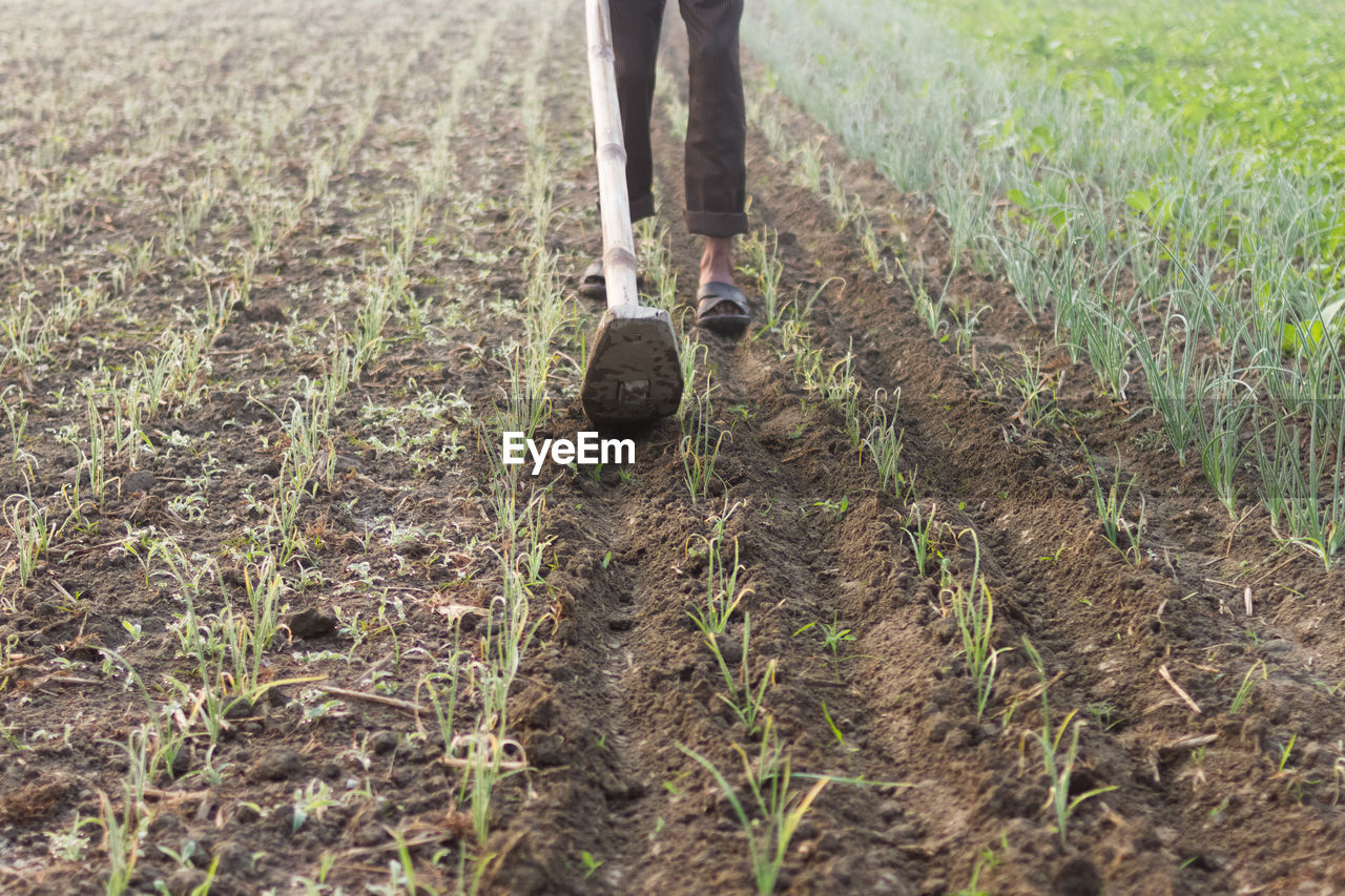 Low section of person cultivating field