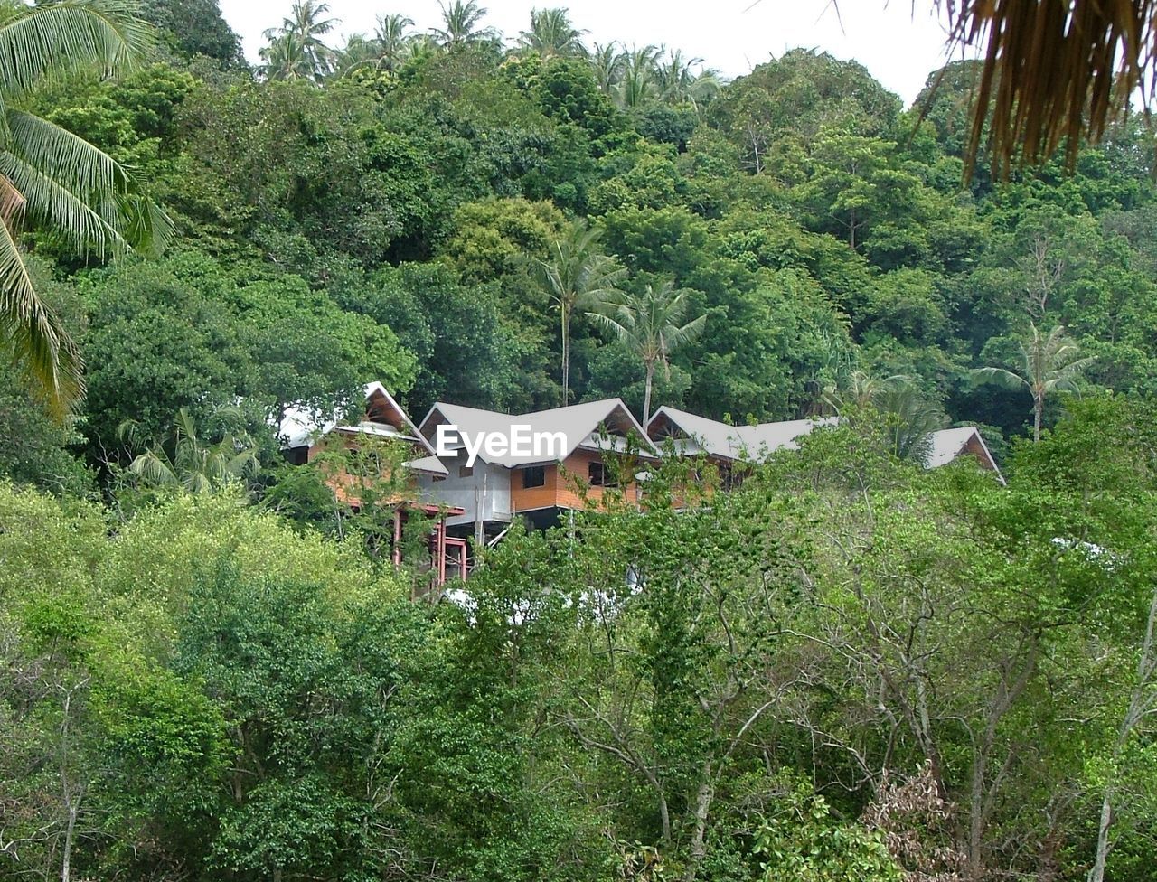 Low angle view of house on hill in forest