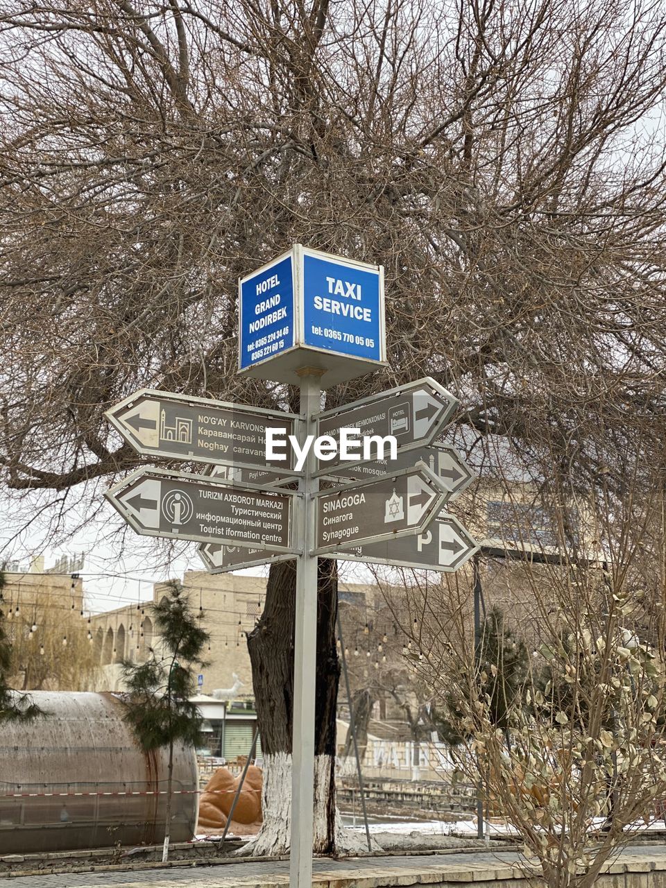 SIGN ON SNOW COVERED TREE