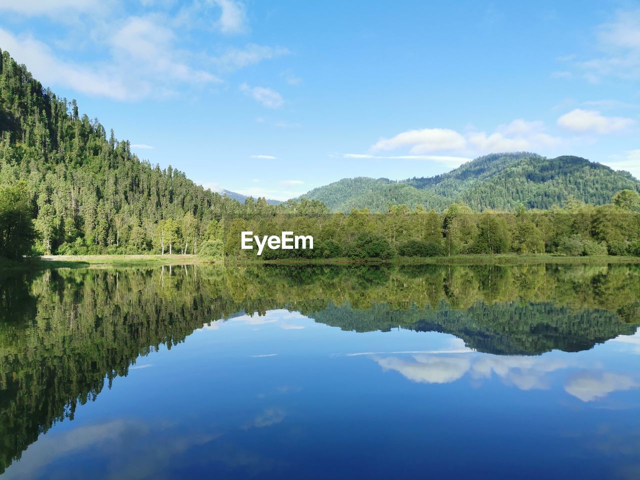 Scenic view of lake by trees against sky