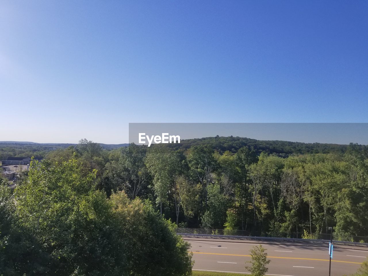 PLANTS GROWING ON ROAD AGAINST CLEAR SKY