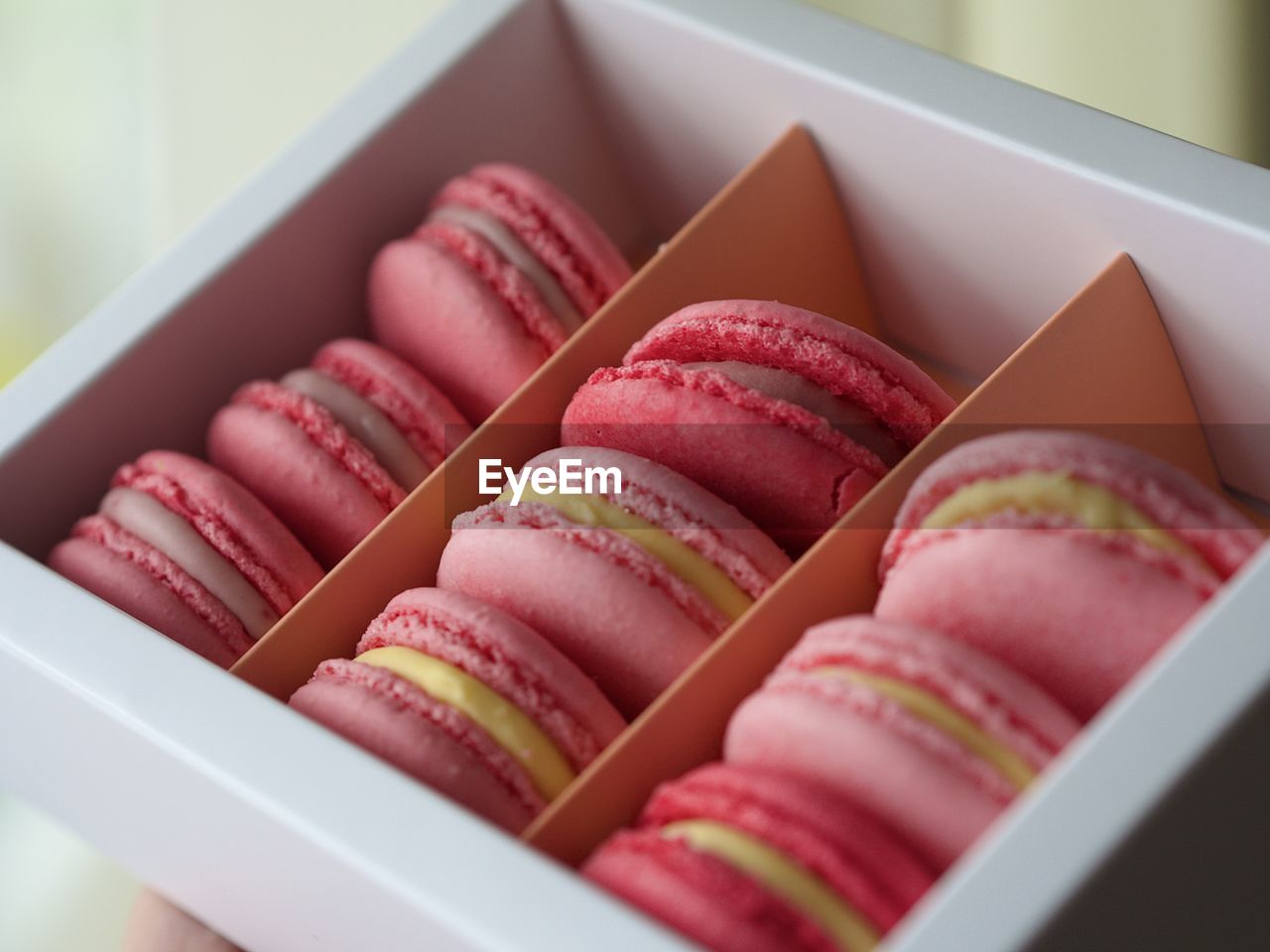 Close-up of pink macaroons on table
