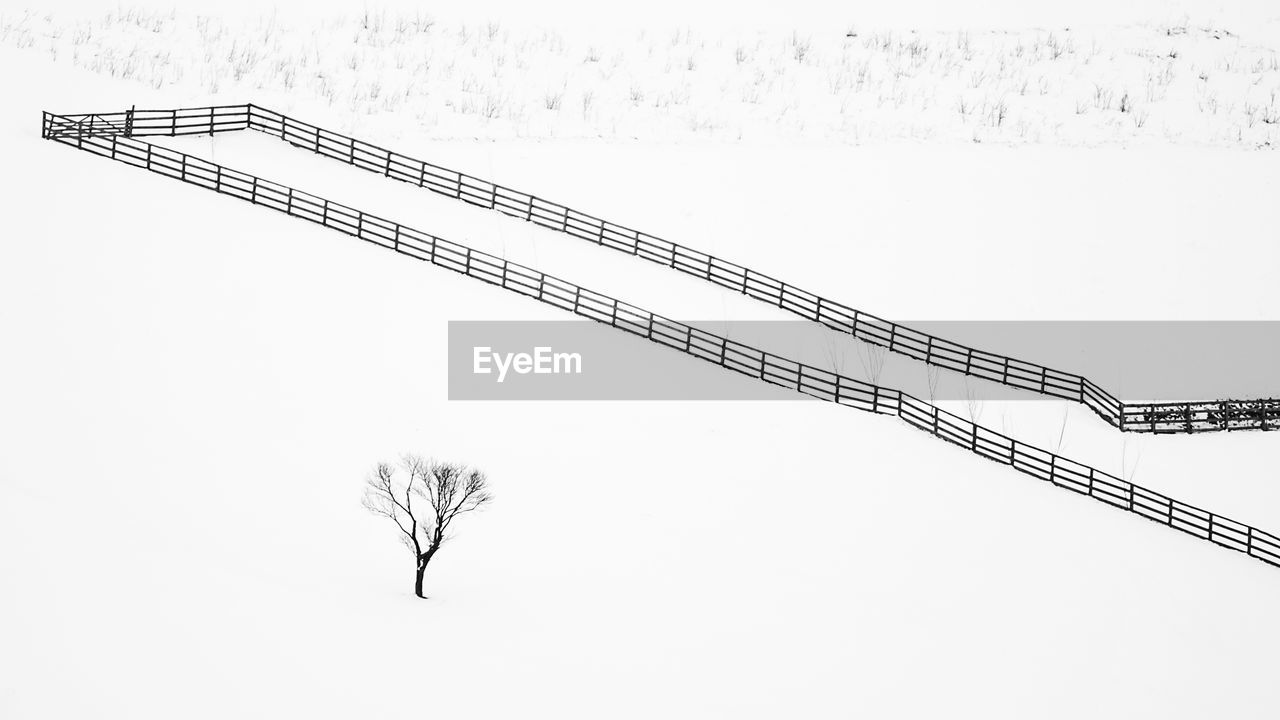 LOW ANGLE VIEW OF CRANES ON SNOW COVERED FIELD