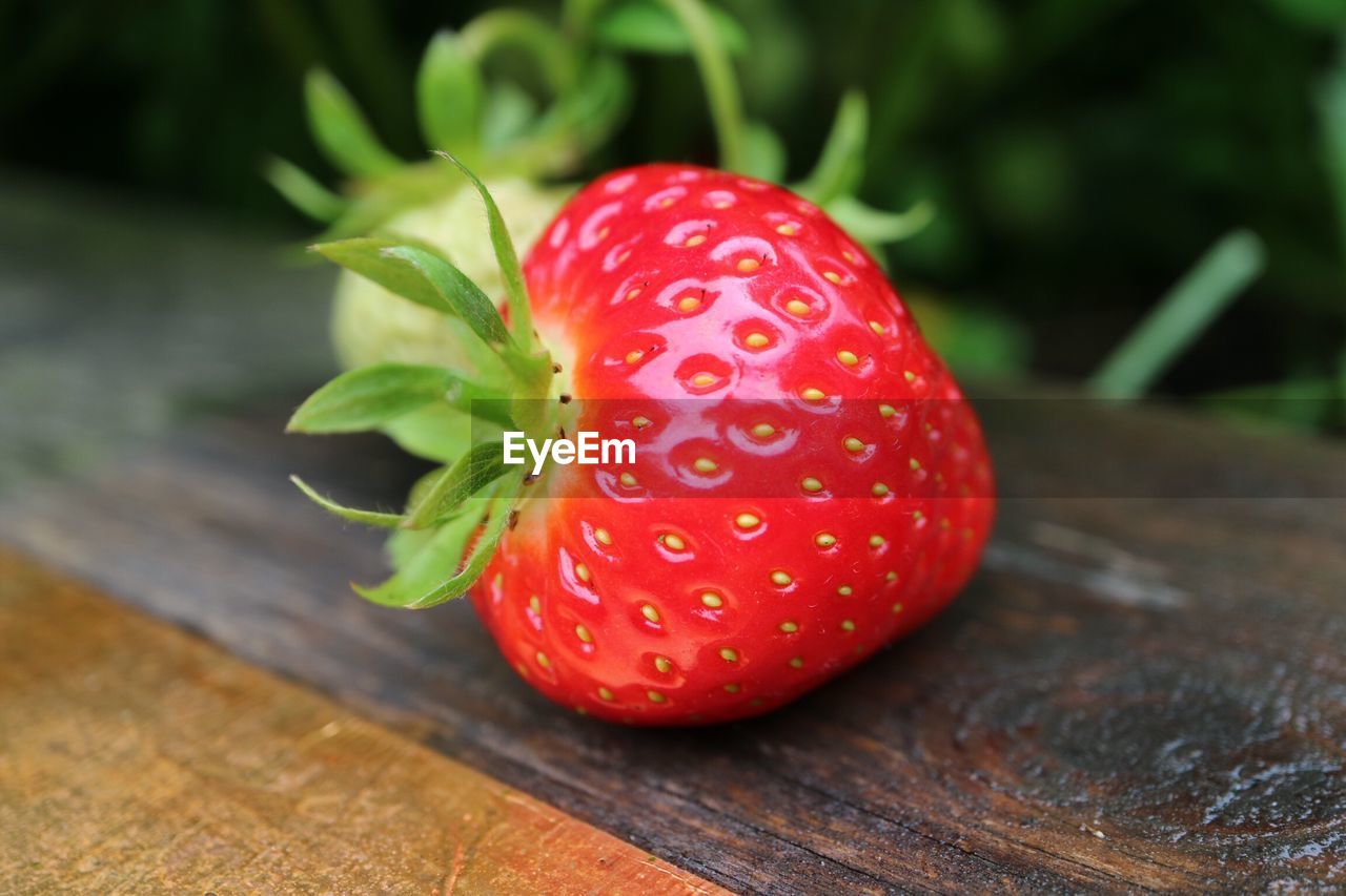 CLOSE-UP OF STRAWBERRY AND STRAWBERRIES ON TABLE