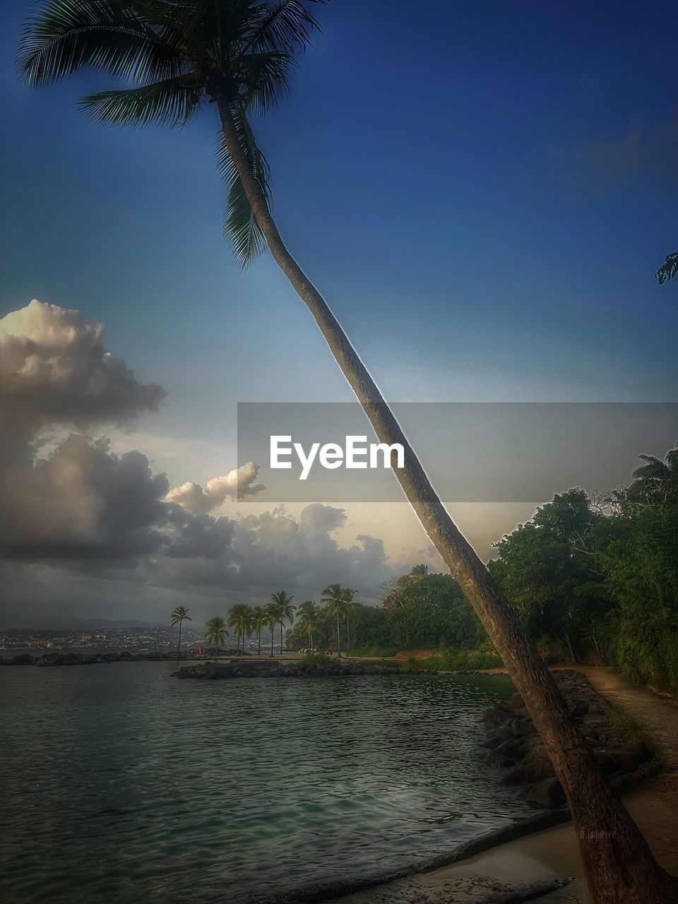 water, tree, sky, palm tree, tropical climate, nature, plant, sea, cloud, beauty in nature, coconut palm tree, land, reflection, environment, morning, scenics - nature, beach, tranquility, tropical tree, no people, sunlight, travel destinations, dusk, tropics, outdoors, travel, tranquil scene, landscape, architecture, blue, vacation, holiday, trip, island, ocean, tourism, idyllic, coast, shore, body of water, horizon