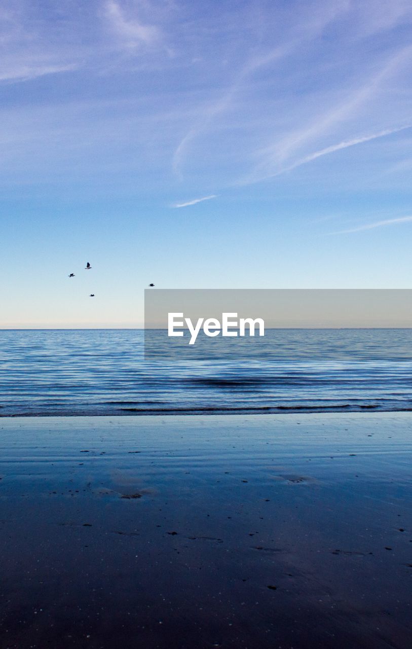 BIRDS FLYING OVER SEA AGAINST SKY