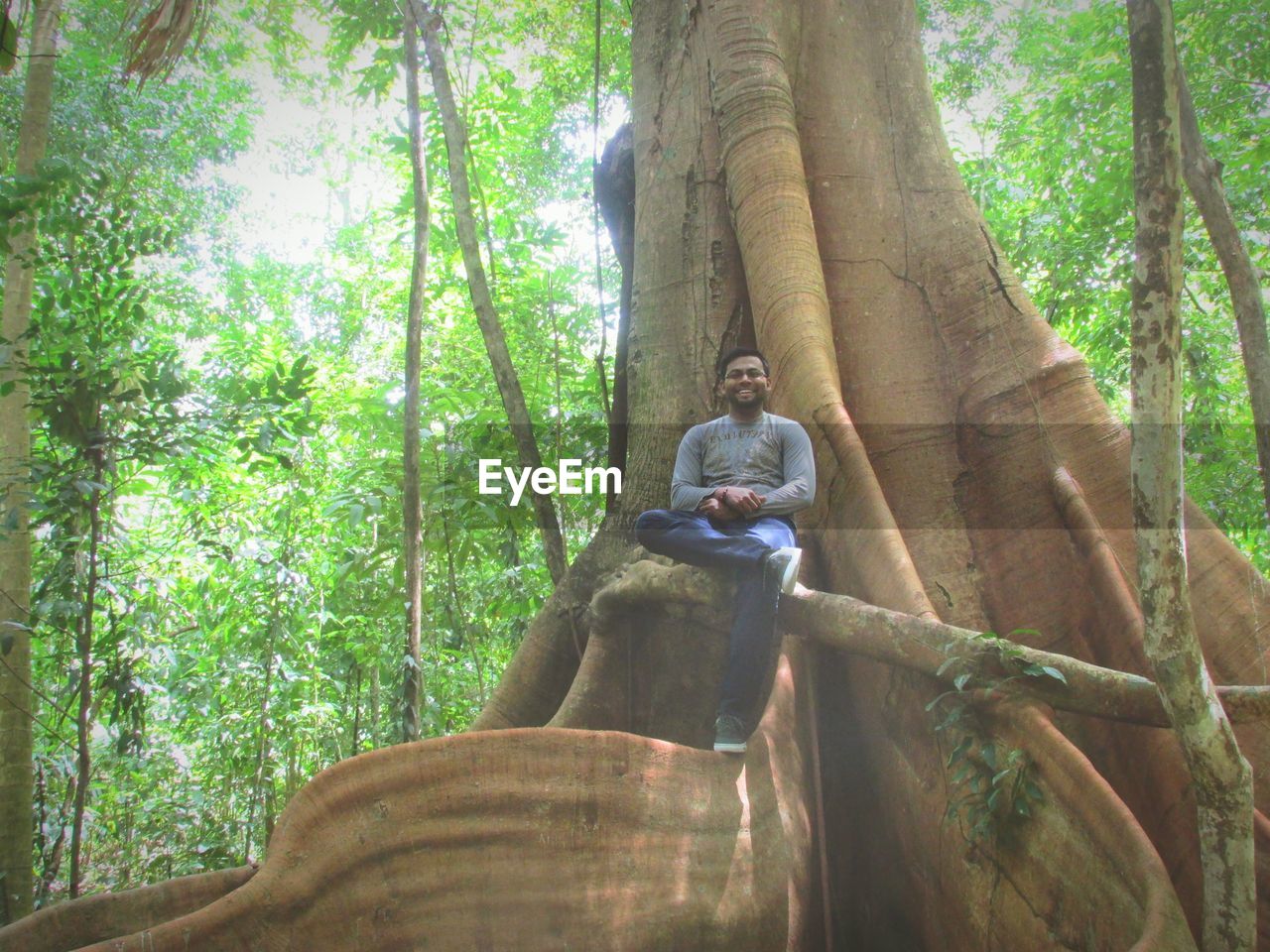 Low angle view of man sitting on tree trunk