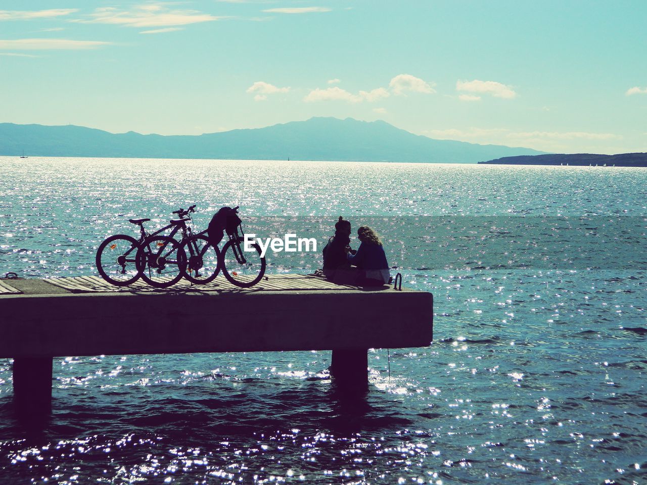 Friends with bicycles on pier over sea